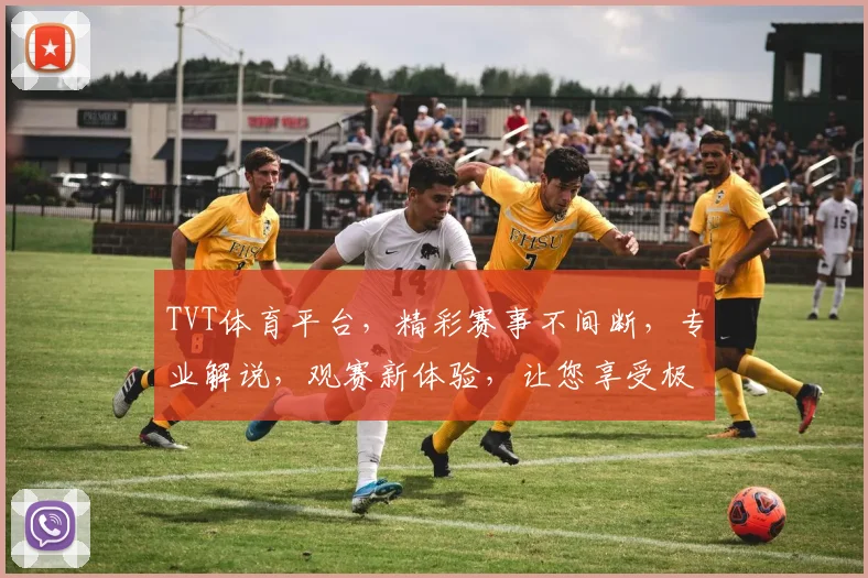 TVT体育平台，精彩赛事不间断，专业解说，观赛新体验，让您享受极致体育盛宴