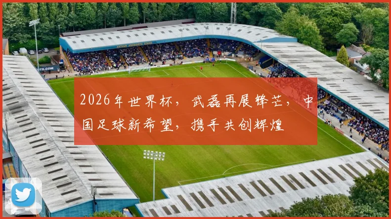 2026年世界杯，武磊再展锋芒，中国足球新希望，携手共创辉煌